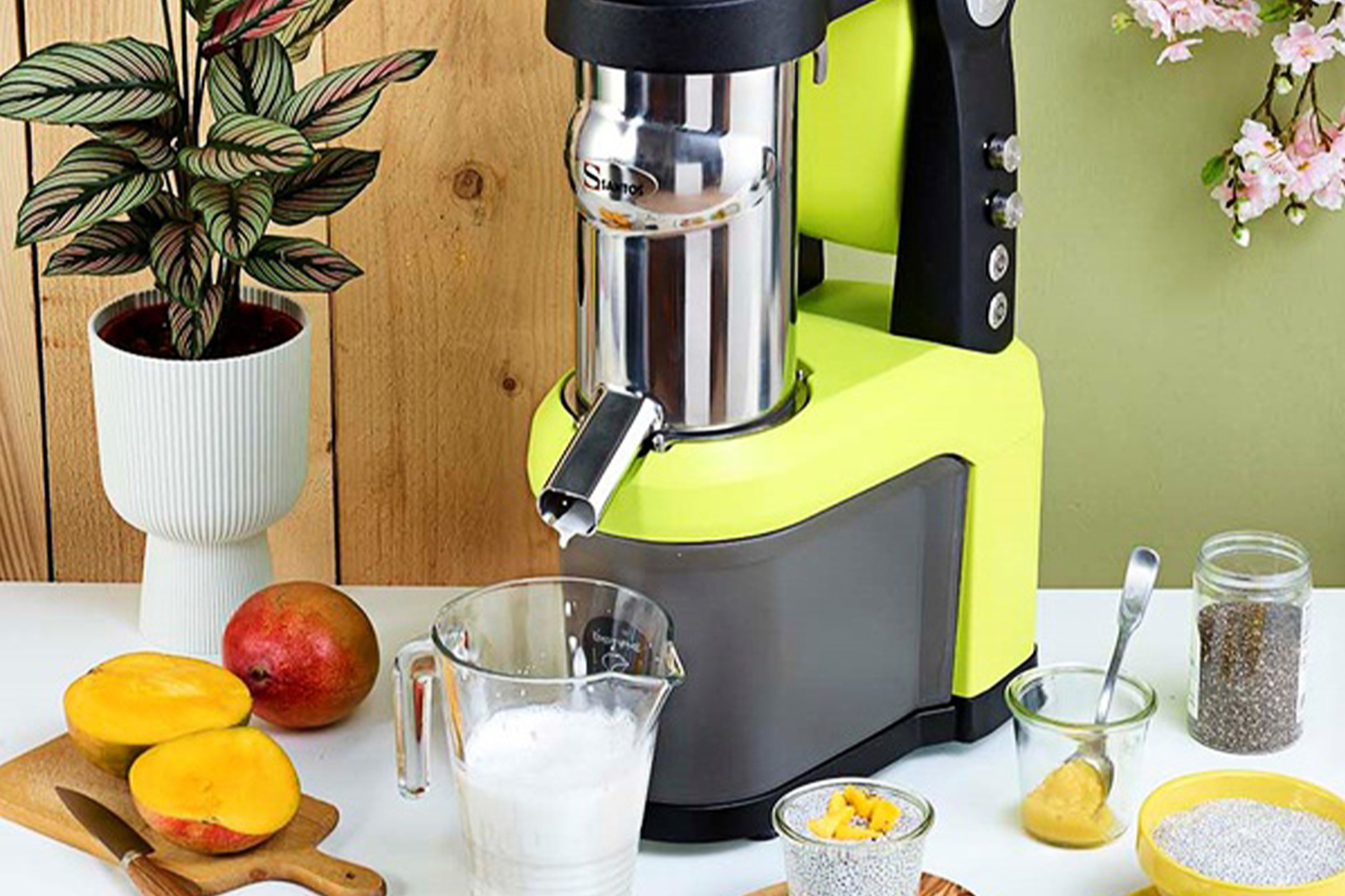 SANTOS Cold Press Juicer #65