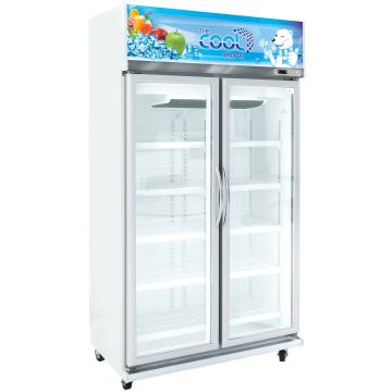 The Cool Upright Cooler ALEX-2P-Jumbo