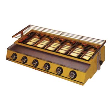 FRESH SIX-HEAD ENVIRONMENTAL ROASTER (GAS) STANDARD ET-K233