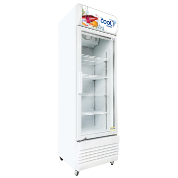 THE COOL Single Door Upright Cooler DENISE-370S