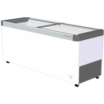 Flat Sliding Glass Door Chest Freezer 457L/8B (1760x535x658) EFE-6002