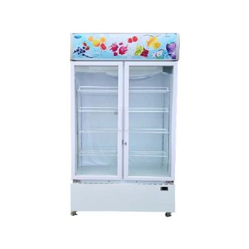 SNOW 2 Door Chiller LY700BBC-EXL