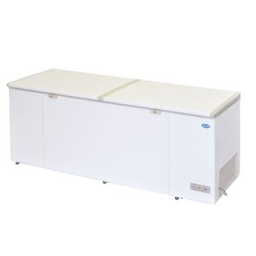 Snow Chest Freezer (Lifting Door Series) LY750LDD