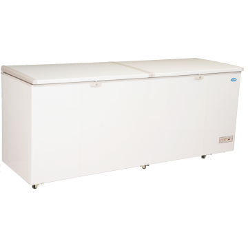 SNOW Chest Freezer (Lifting Door Series) 710L (Inverter) LY750LDD (i)