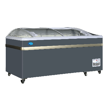SNOW Curved Glass Display Freezer SD-600BY