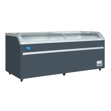 SNOW Curved Glass Display Freezer SD-700BY