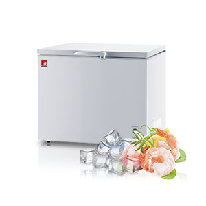Chest Freezer